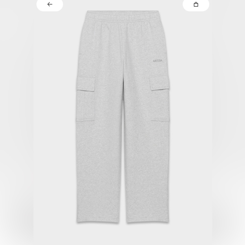 Aritzia Gray Cargo Sweatpants